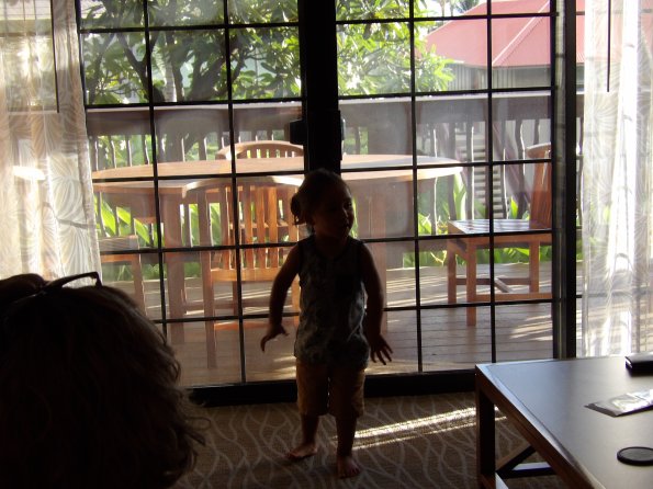 KODAK Digital Still Camera