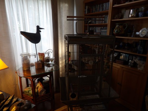 KODAK Digital Still Camera