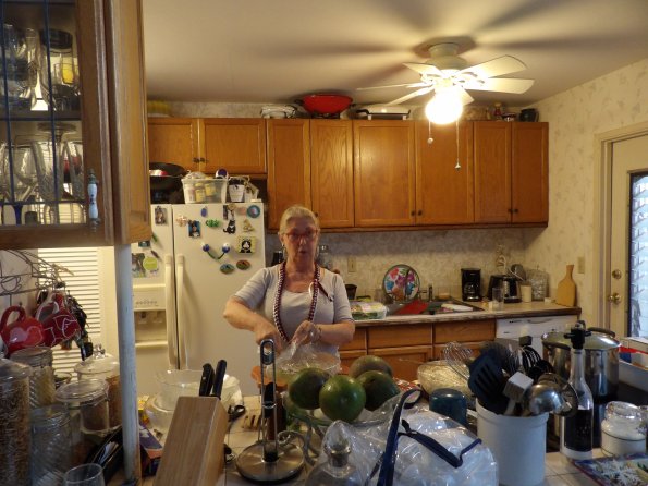 KODAK Digital Still Camera